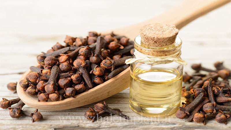 روغن میخک برای اثرات بی حس کننده